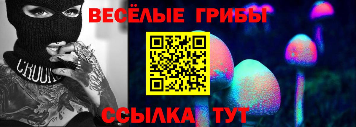 Коломна  Галлюциногенные грибы Psilocybine cubensis  Вход с VPN 